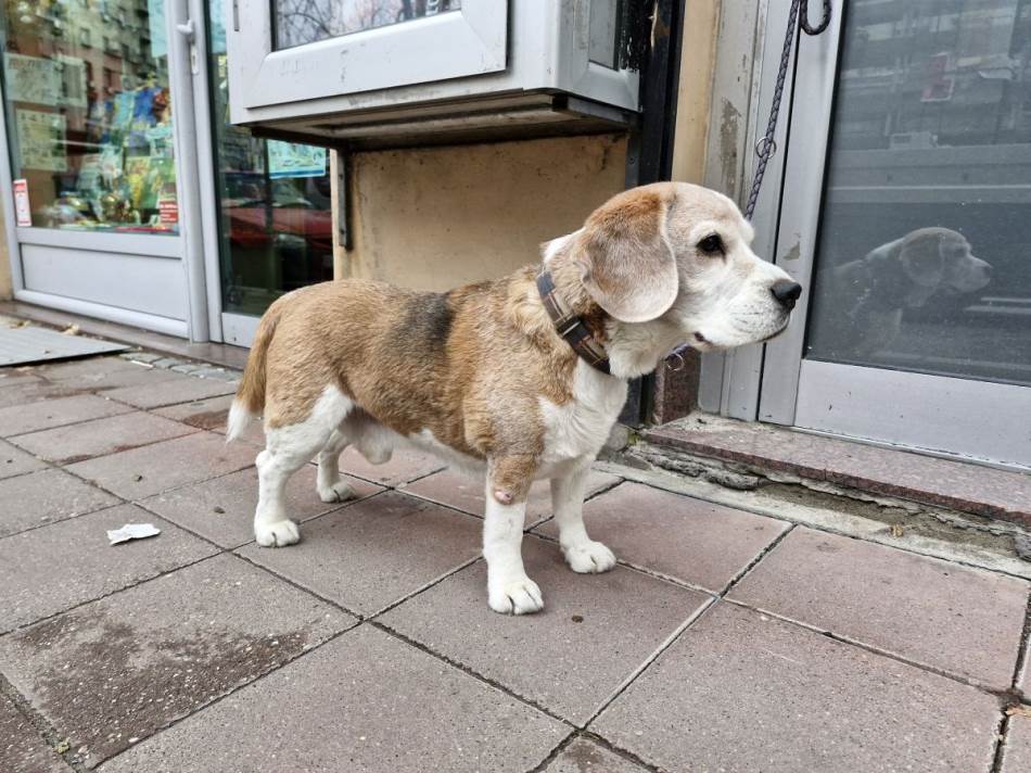 Samsung Galaxy S23 FE _ fotografije _ Foto Mondo Ilija Baošić (1).jpg