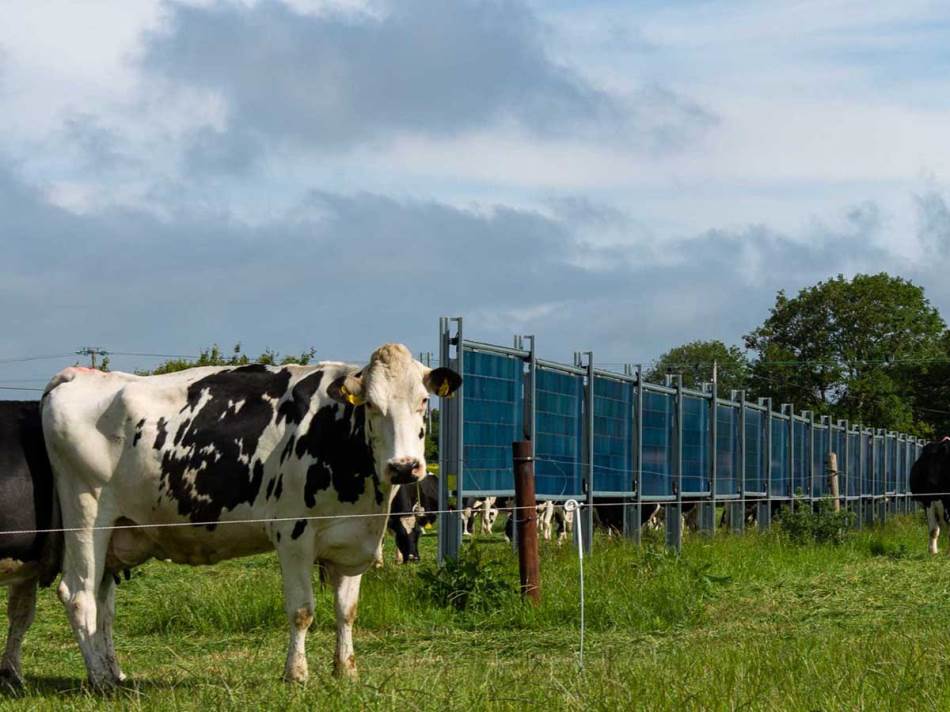 Solarne ograde 3.jpg