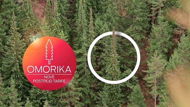 Stigli su Morava, Omorika i Soko
