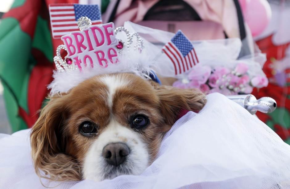 YouTube kraljevsko vencanje uživo