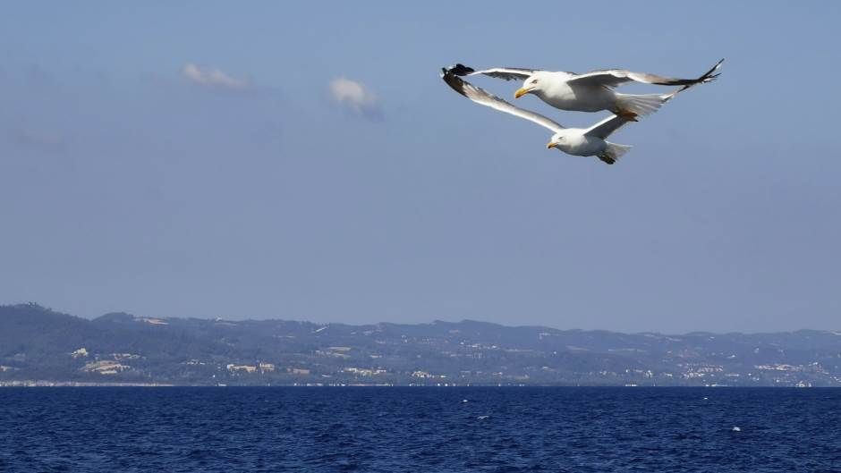 Huawei InFocus 2019 kako ucestvovati, Huawei InFocus saveti za bolje fotke, Kako slikati mobilnim