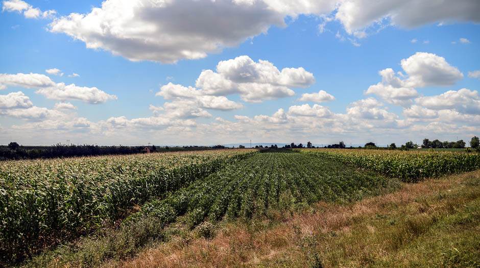 srbija zagađenje nulta emisija gasova naturu 2000 evropska zelena nedelja