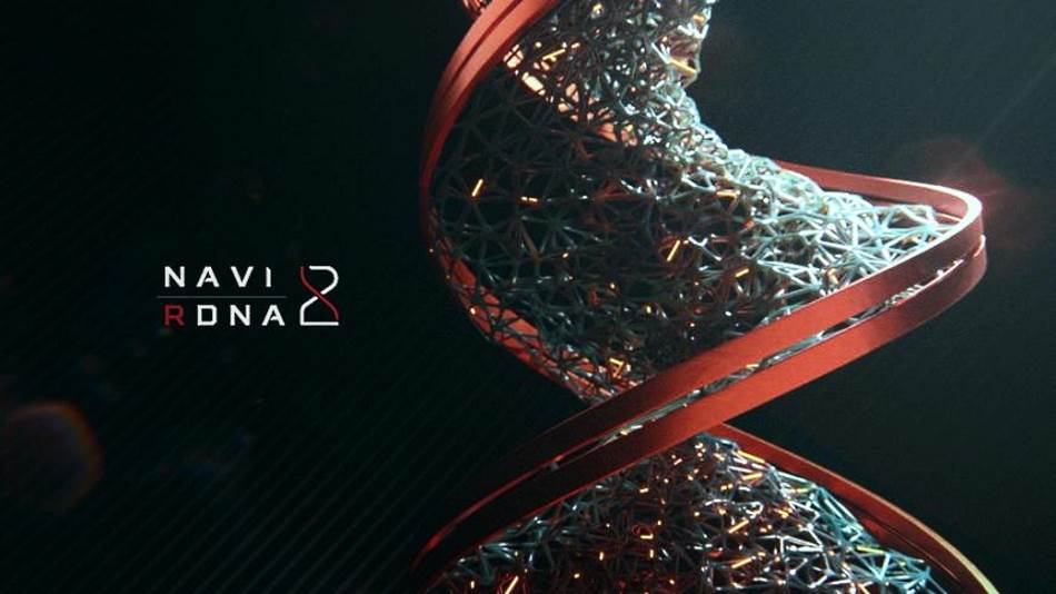 AMD Radeon NAVI graficke karte specifikacije, AMD RADEON nove grafike cene, slike, opis, info