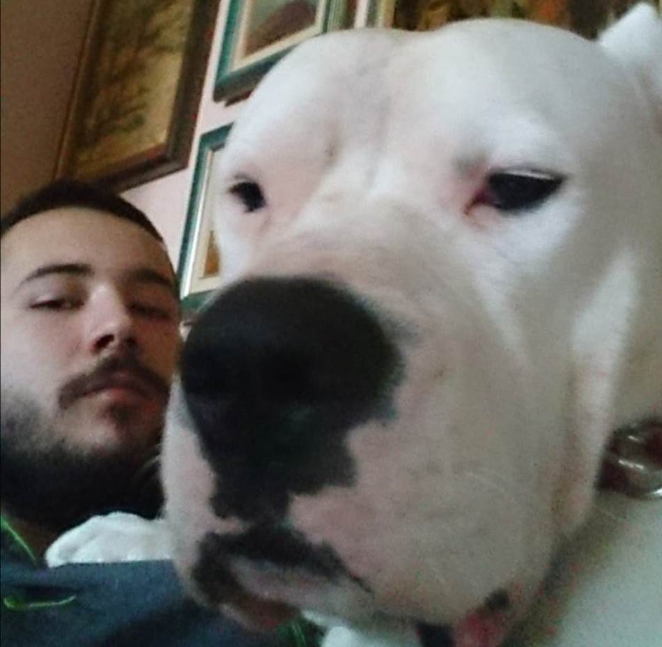 google search images internet pretraživač pretraga uz pomoć slika