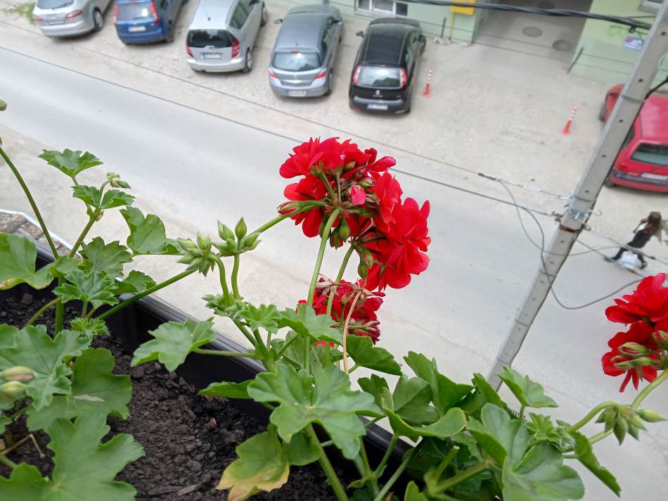 nokia g10 kupovina cena 160 evra saveti utisci kako radi kvalitet jeftin telefon kamera foto video