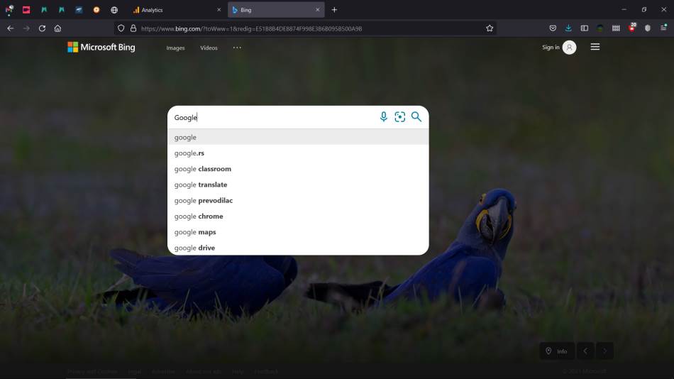 Bing Search Google najtraženiji