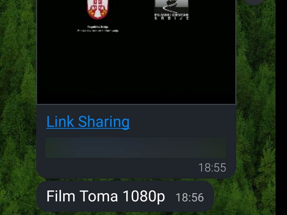 Screenshot_20211011_185148_com.viber.voip-1