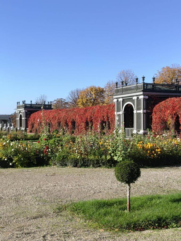 Huawei nova 9 kamera kvalitet fotografija (2).jpeg