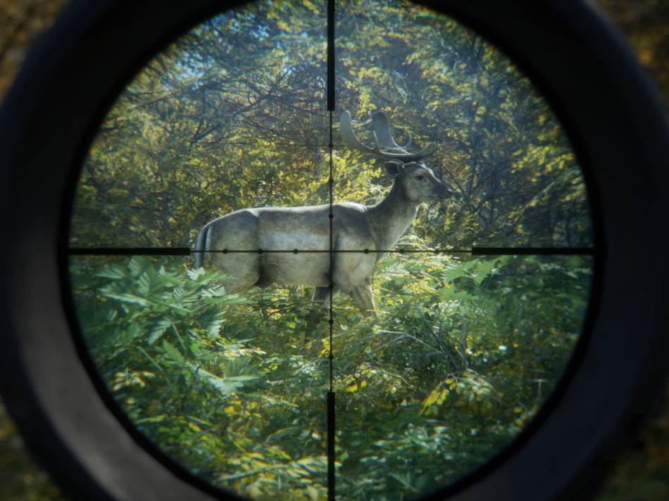 theHunter: Call of the Wild