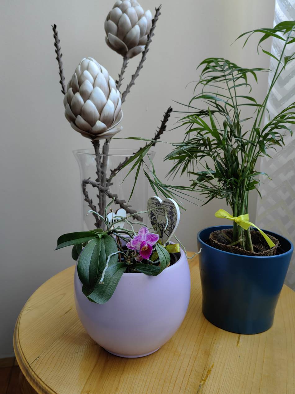 Huawei P50 Pro kamera test