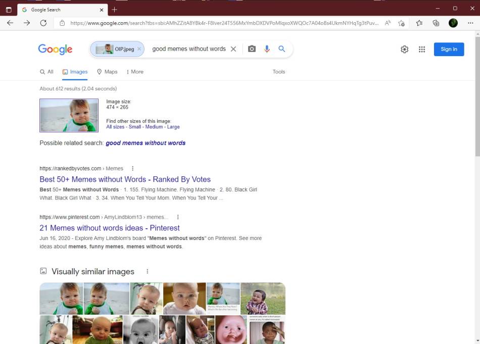 Google image search
