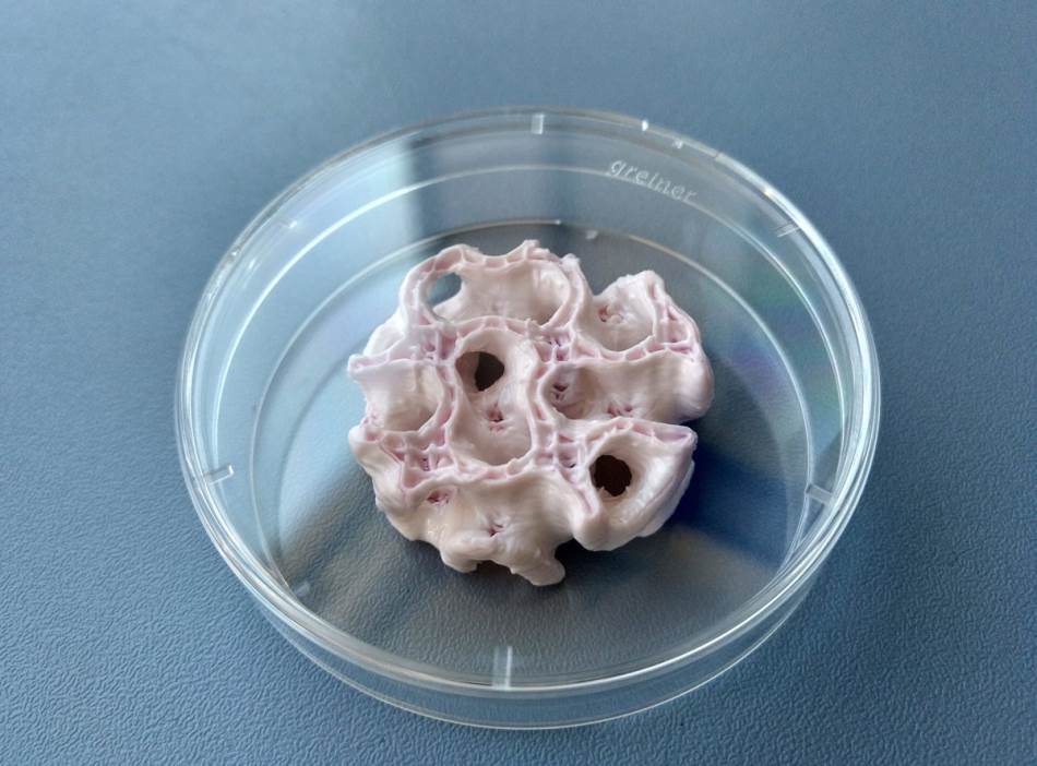 Veštačka kost u Petrijevoj šolji