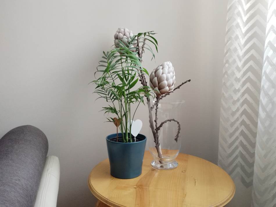 Huawei nova Y90 slike kamerom (20).jpg