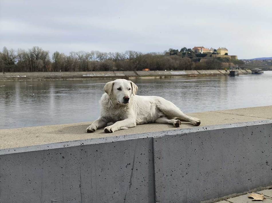 vivo X90 Pro kamera dan 2.jpg