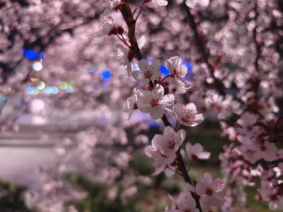 vivo X90 Pro kamera noć 2.jpg