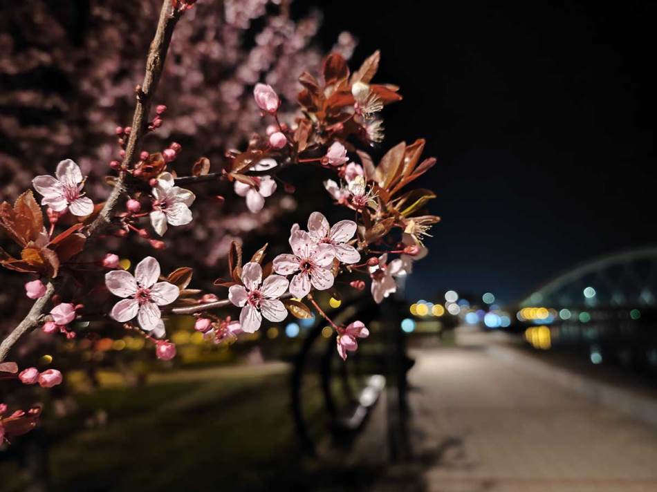 Xiaomi 13 Pro kamere noć 8.jpg