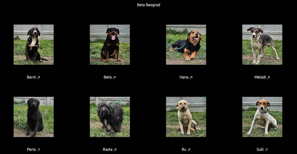 Screenshot 2023-04-04 at 18.50.13.jpg