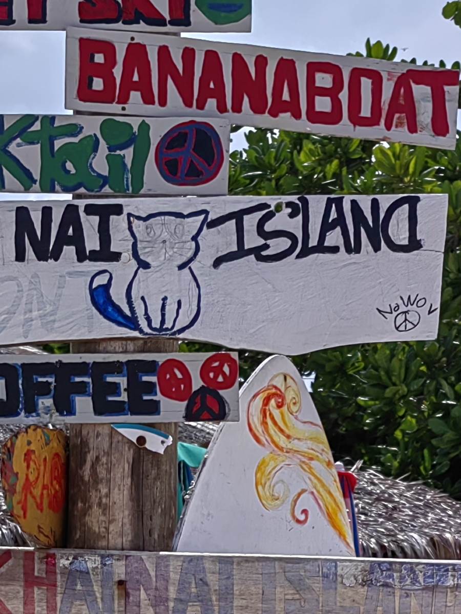 Huawei nova 10 Pro kamera primeri (36-1).jpg