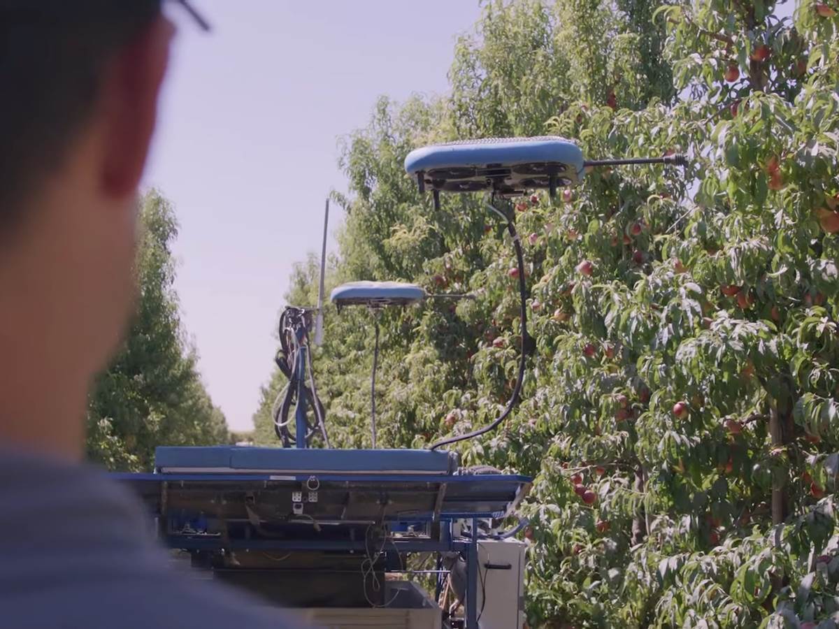 The Future of Harvesting_ Fruit-Picking Flying Autonomous Robots™ by Tevel _ HMC Farms Testimonial 1-39 screenshot.jpg