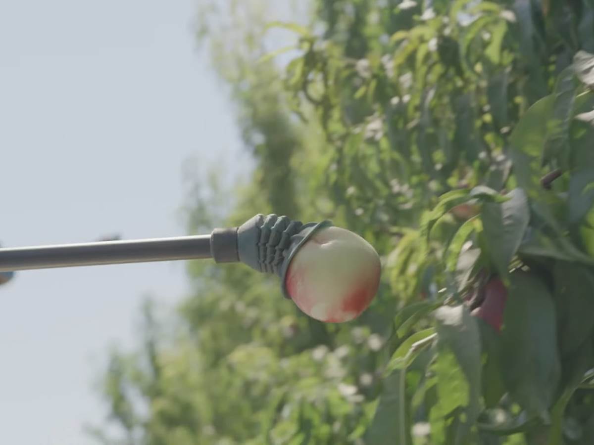 The Future of Harvesting_ Fruit-Picking Flying Autonomous Robots™ by Tevel _ HMC Farms Testimonial 2-15 screenshot.png