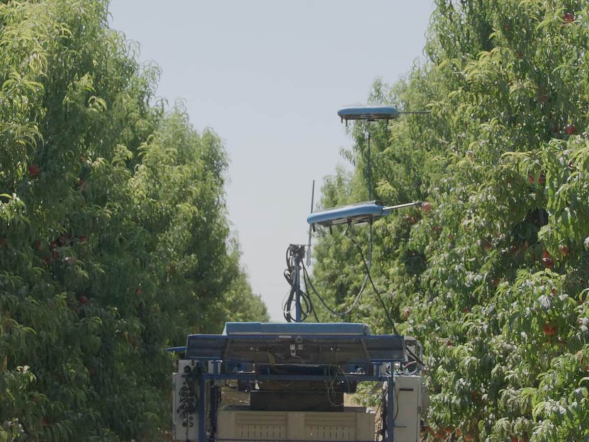 The Future of Harvesting_ Fruit-Picking Flying Autonomous Robots™ by Tevel _ HMC Farms Testimonial 2-24 screenshot.png