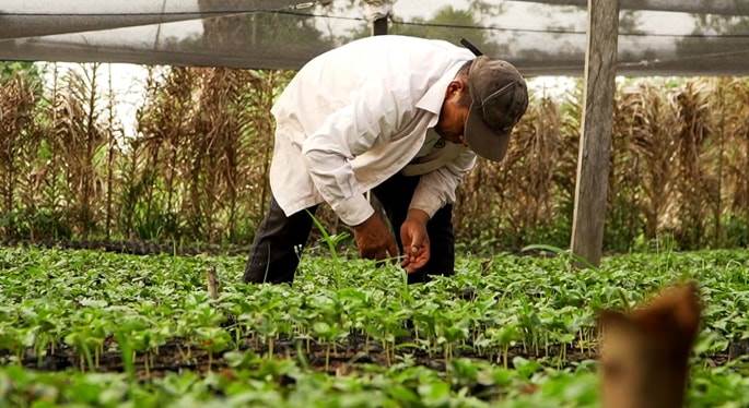 mamami intensive work.jpg