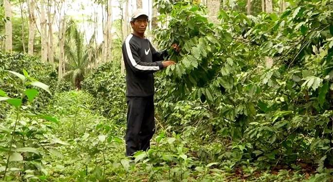 francisco viquez.jpeg