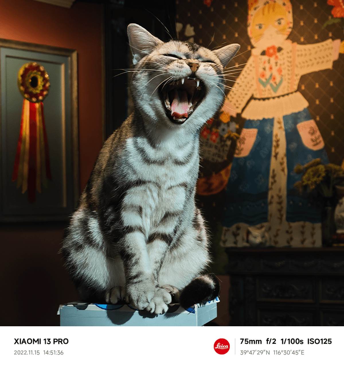 Xiaomi 13 Pro kamera 7.png