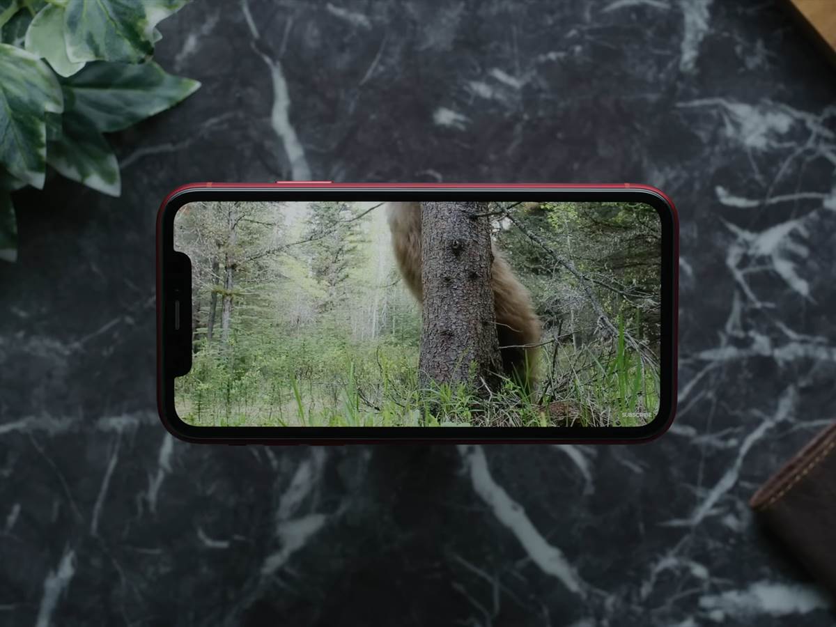 iPhone XR Review_ No Need to Panic! 6-35 screenshot.png