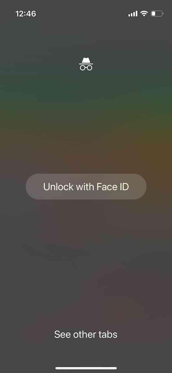 Chrome Incognito 1.jpeg