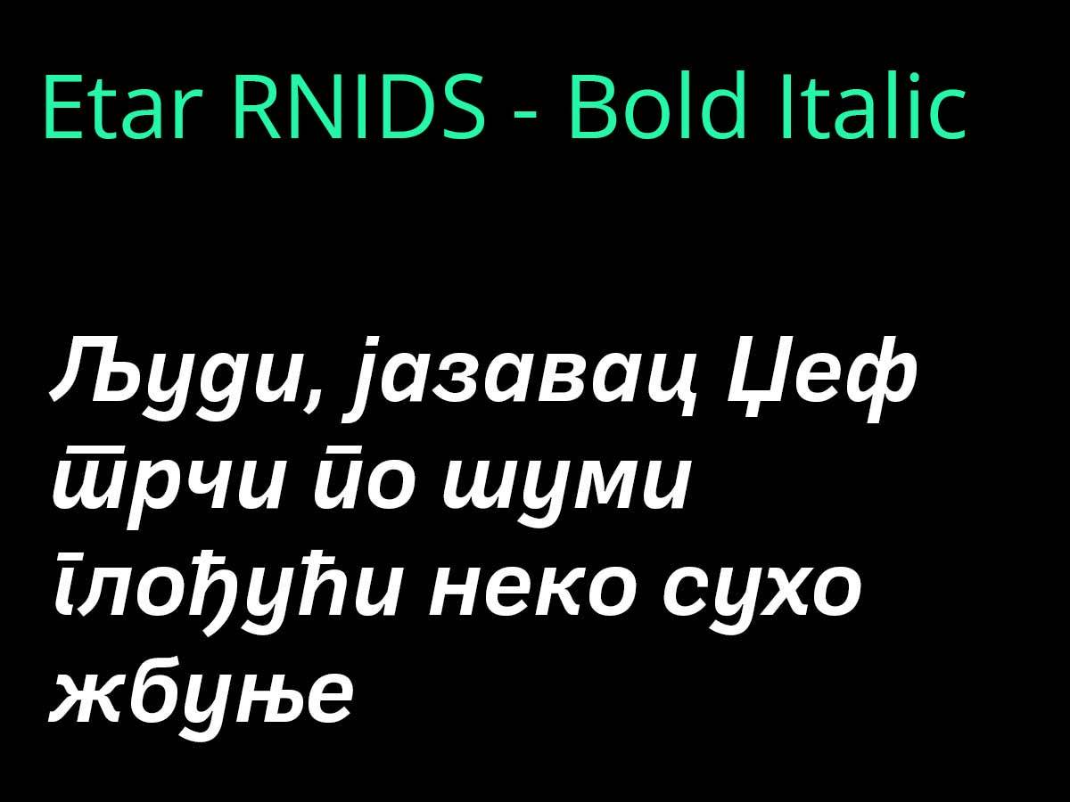 EtarRNIDS - Bold Italic.jpg
