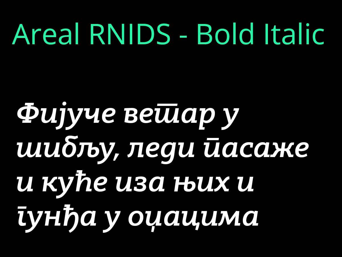 ArealRNIDS - Bold Italic.jpg
