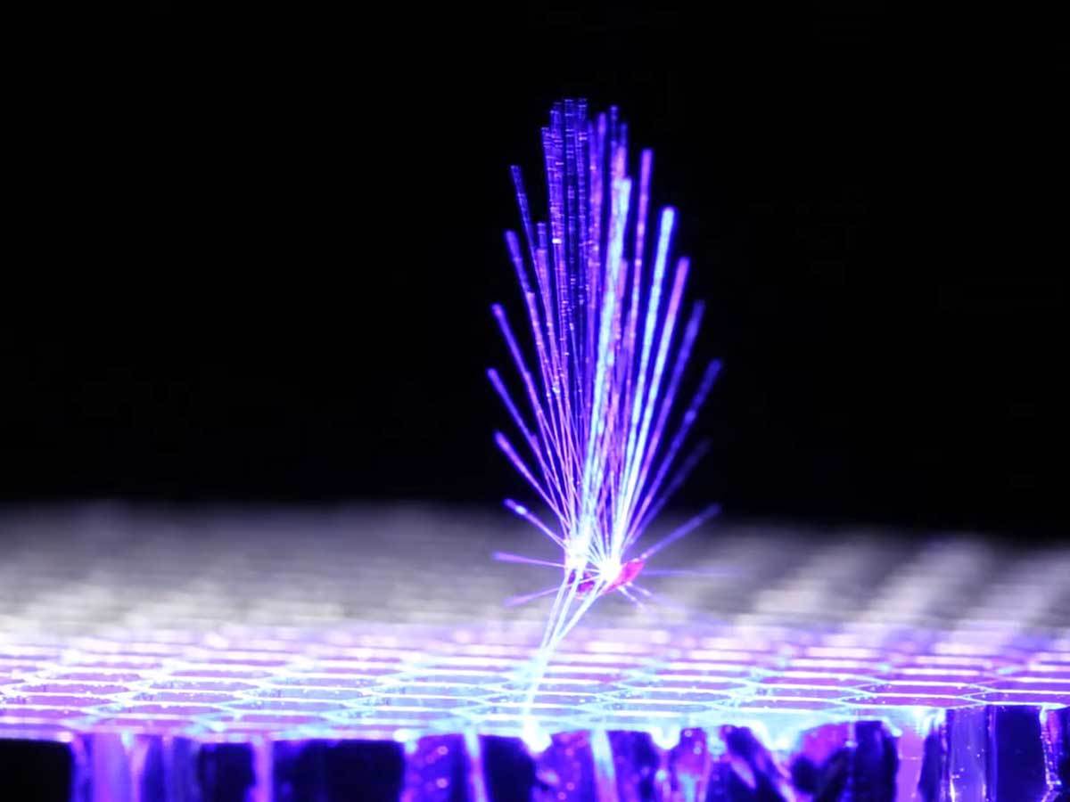 Vila leteći robot 1.jpg