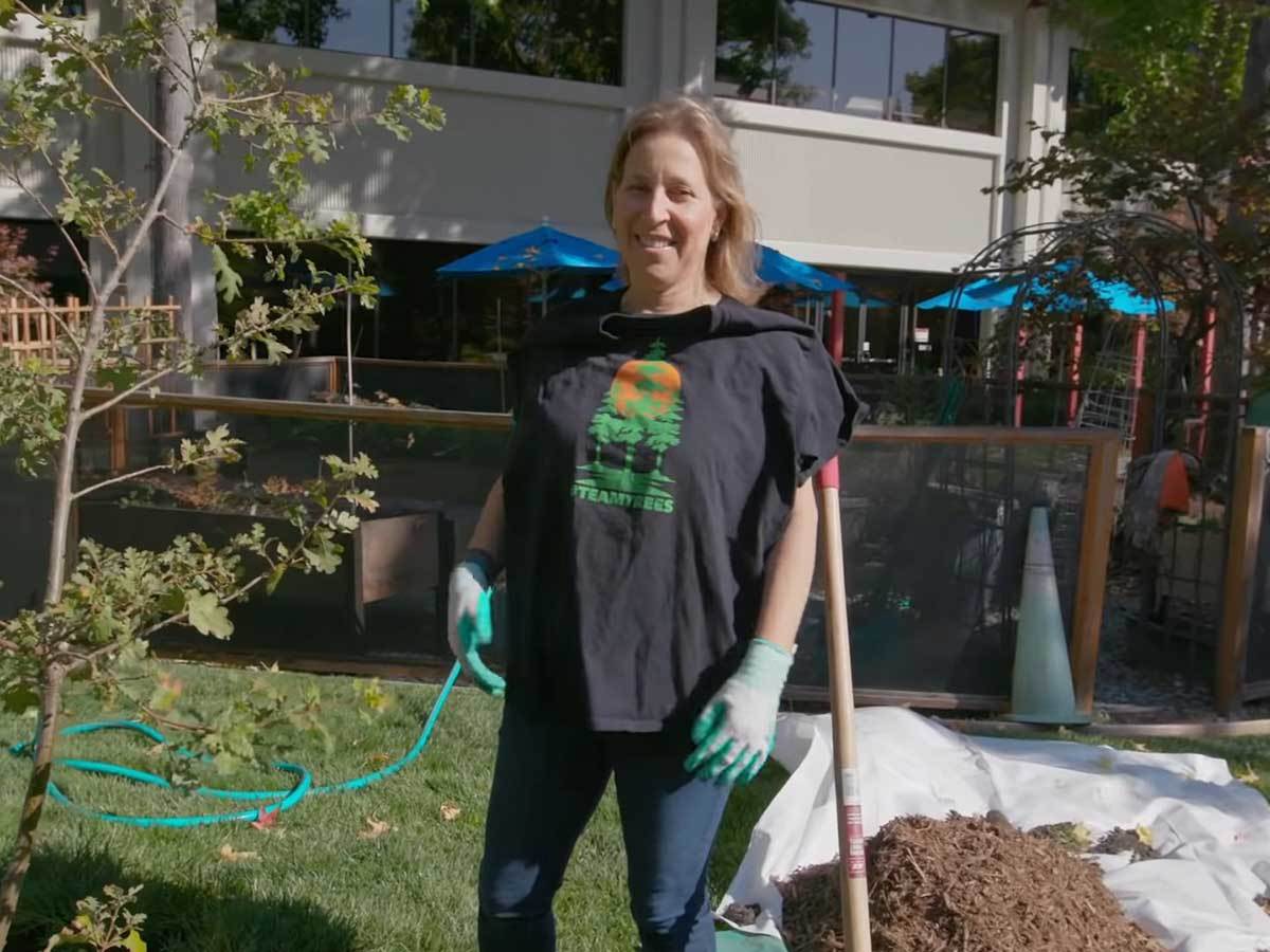 Suzan Vodžicki 5.jpg