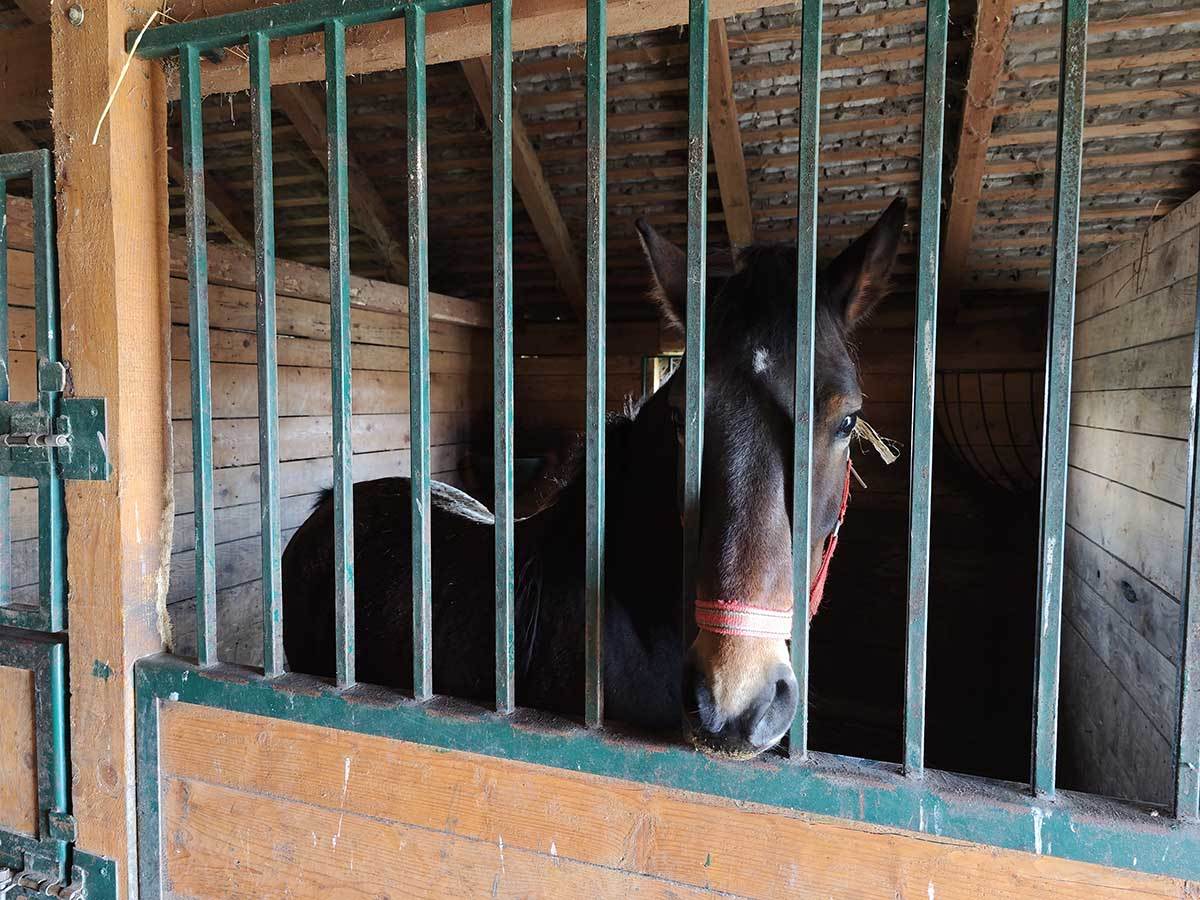 Xiaomi 13 Pro zauzeo 16 mesto na DxOMark testu kvaliteta kamere