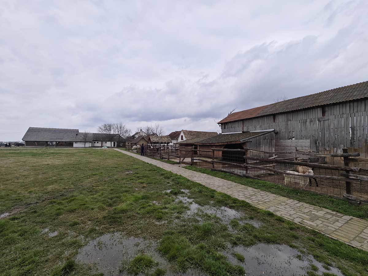 Xiaomi 13 Pro slike 6.jpg