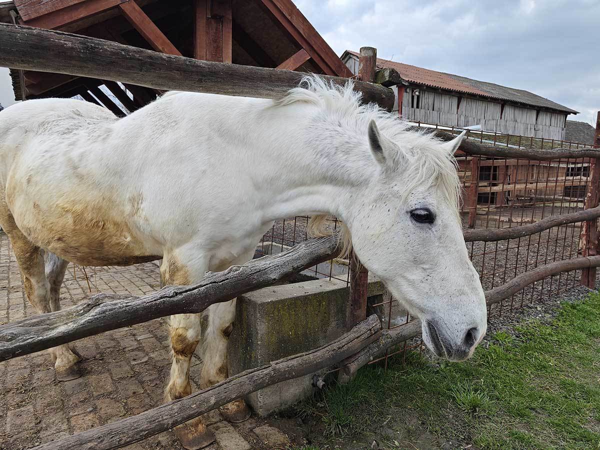 Xiaomi 13 Pro zauzeo 16 mesto na DxOMark testu kvaliteta kamere
