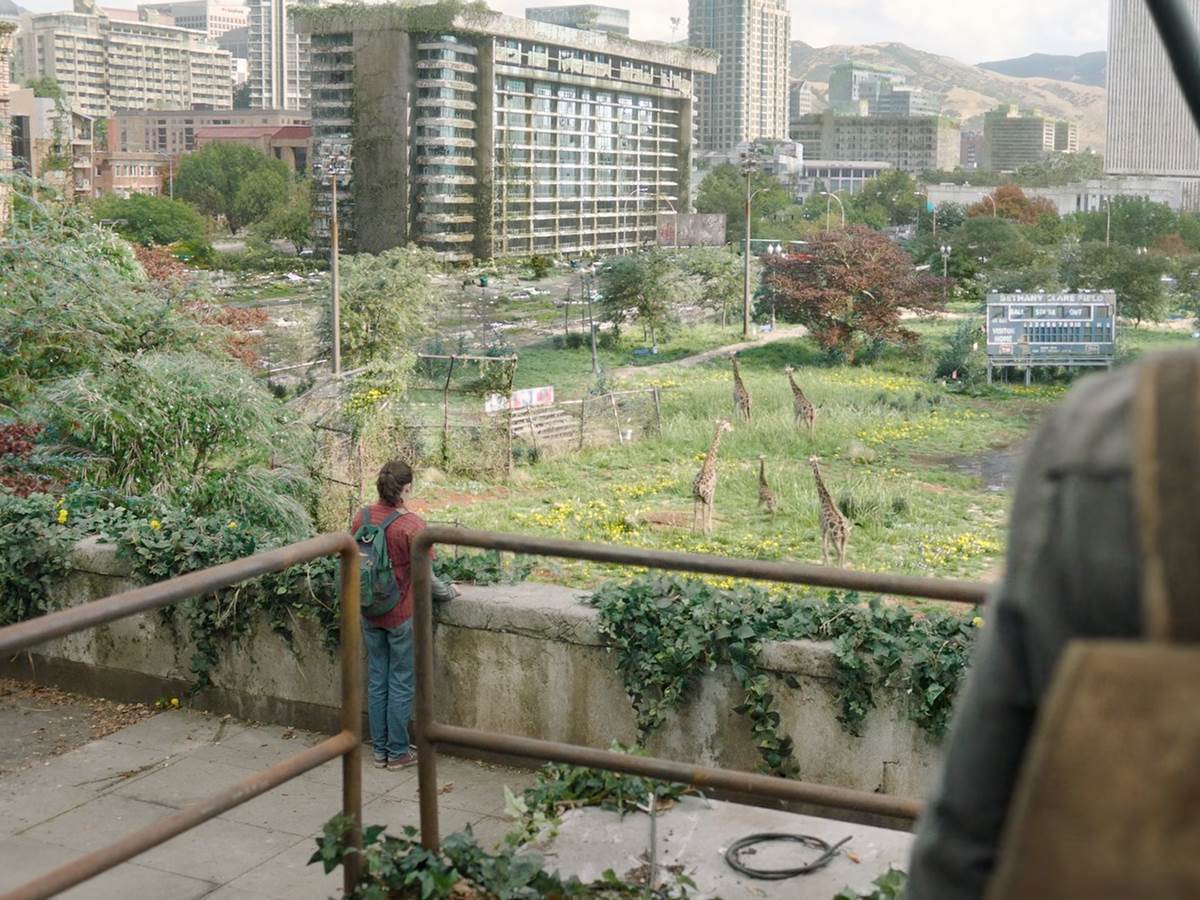 The Last of Us svet 13.png