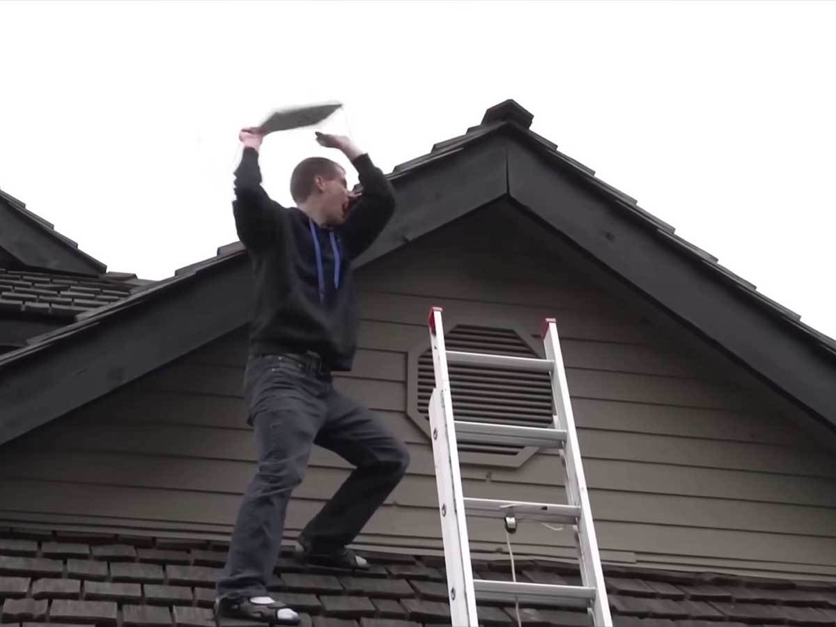 Lajnus Sebastijan 8.jpg