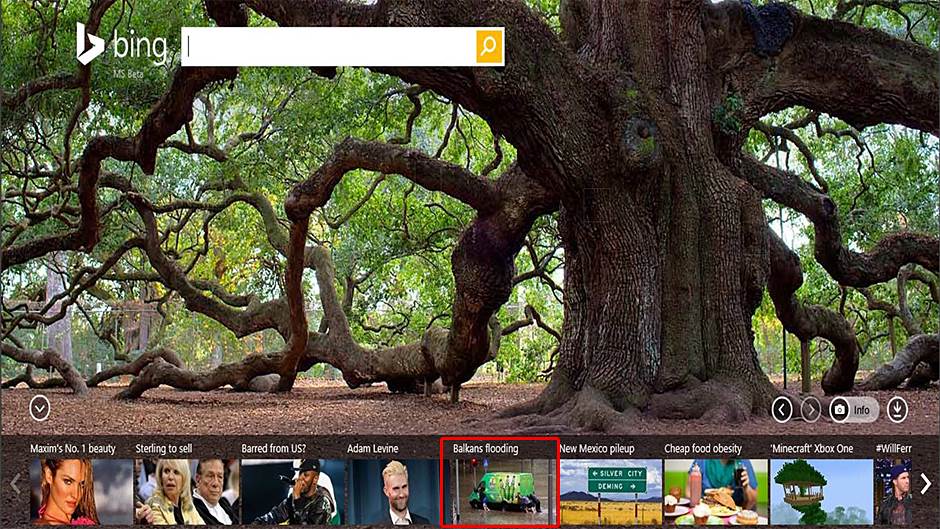 Google najtraženiji pojam na Bing pretraživaču