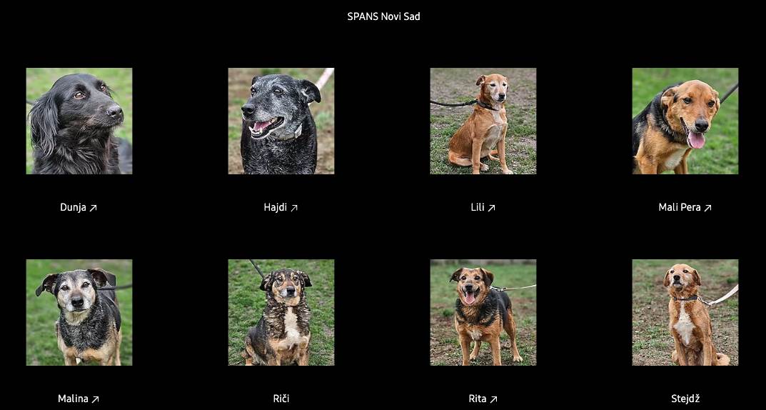 Screenshot 2023-04-04 at 18.50.28.png